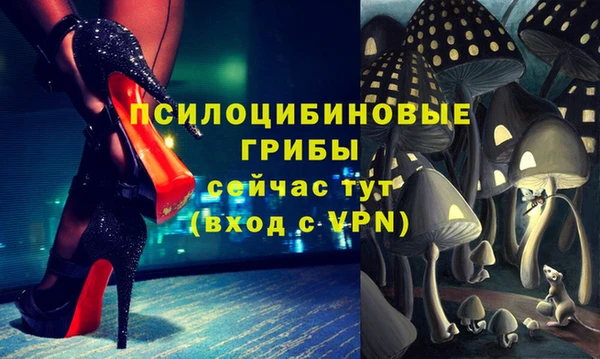 ECSTASY Балабаново