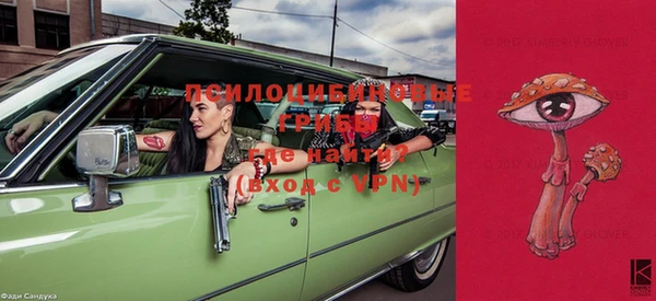 прущие крисы Балахна