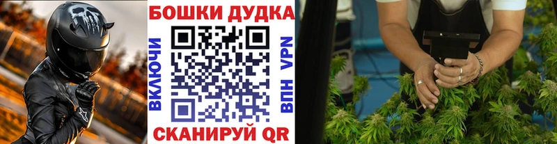 KRAKEN как зайти Белокуриха Марихуана ГИДРОПОН